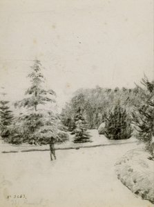 Studie van een tuin door Santiago Rusiñol